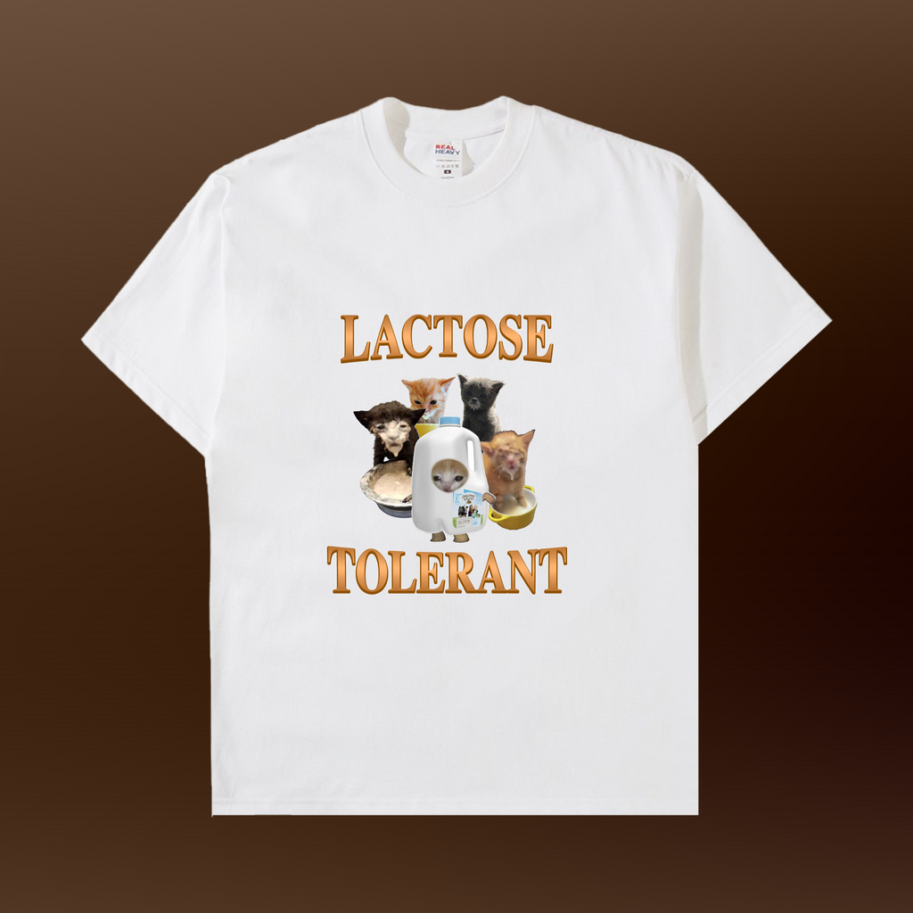 Unisex Oversized Standard T-Shirt