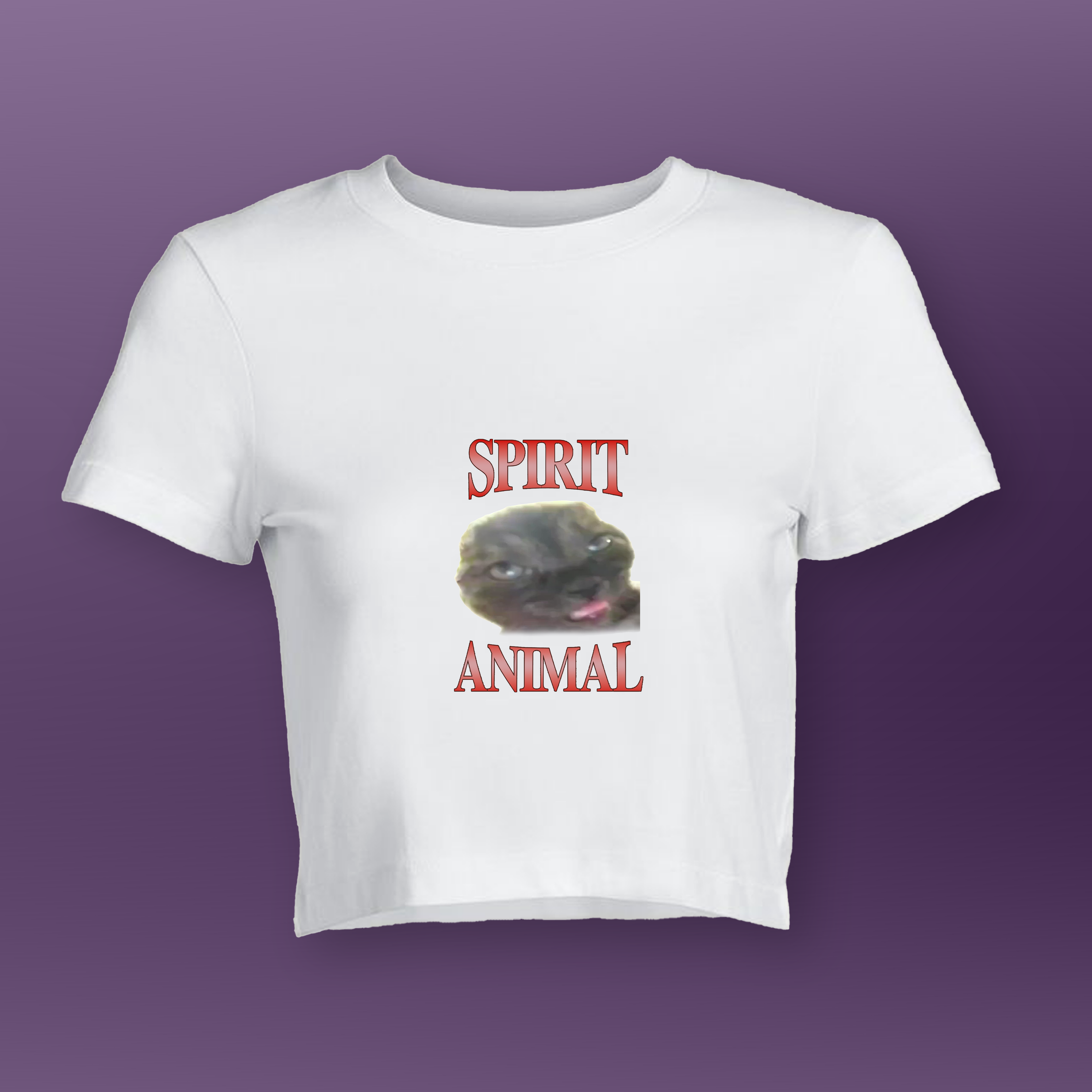 Spirit Animal | Goofy Baby Tee | IKnwBall